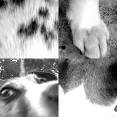 .