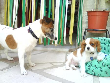 Douky et Maya